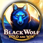 Trò chơi Sweet Bonanza của Pragmatic Play tại SP8 Casino