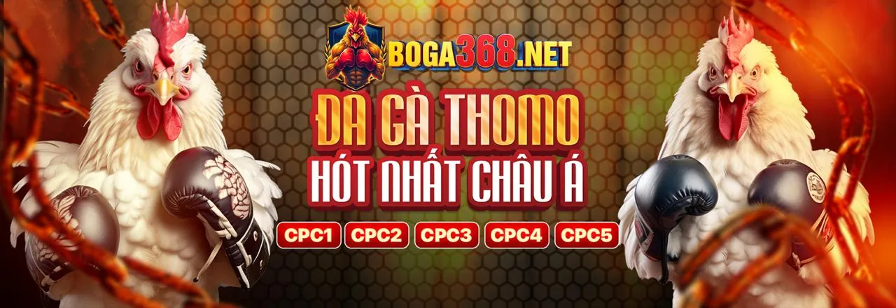 Hình ảnh chính blog SP8 Casino 2026