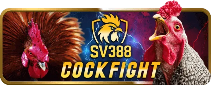 Quà tặng sinh nhật đặc biệt cho thành viên VIP SP8 Casino